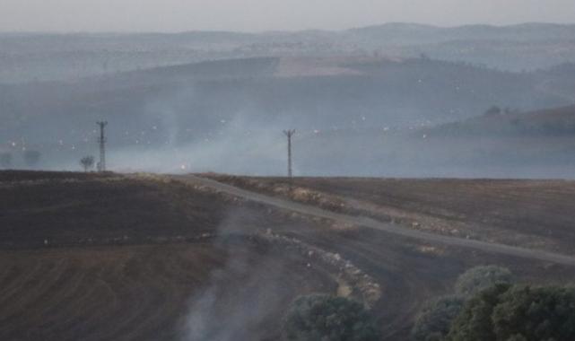 Sezgin Tanrıkulu anız yangınıyla ilgili DEDAŞ'ı işaret etti