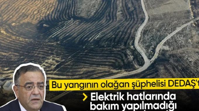 Sezgin Tanrıkulu anız yangınıyla ilgili DEDAŞ&#039;ı işaret etti