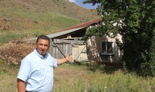 Sivas'ta 50 bin lira maaşa çalıştıracak çoban bulamıyorlar