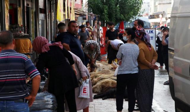 Sokakta kesilen kurban tehlikesi: Strese bağlı bozulma olabilir