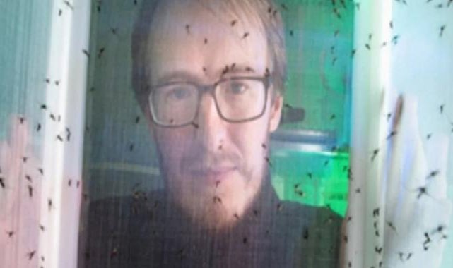 ABD'de kanını sivrisineklere veren adam şaşkına çevirdi