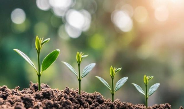 Enerji ve Tabii Kaynaklar Bakanlığı'ndan 5 yılda çevreye 1 milyar liralık yatırım