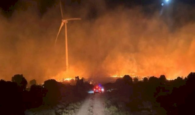 Haziran ayında orman yangınları geçen yıla göre 5 kat arttı