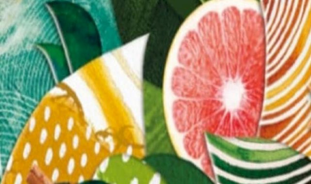 İnsanın hayatını, sağlığını ve kendi bedeninin tanımasına yardımcı olan kitap: Kolay Ayurveda