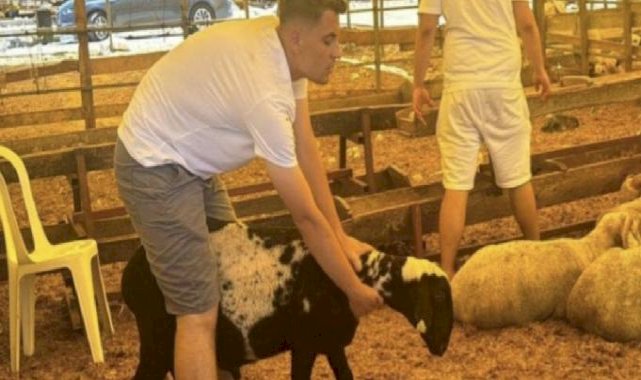 İstanbul'da bayramın 3. gününde kurbanlık alma telaşı sürdü