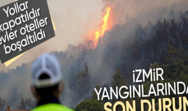 İzmir'de orman yangını: İşte son durum
