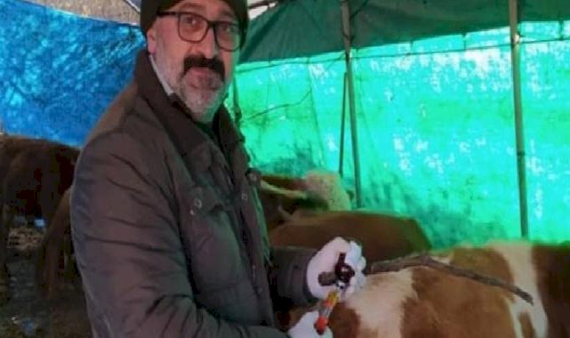 Kurban seçerken bunlara dikkat!