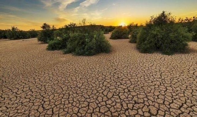 Tehlike giderek büyüyor: Türkiye'nin kuraklık haritası çıkarıldı