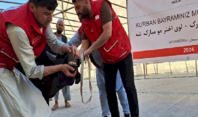 Türk Kızılay'ın kurban kesimleri 19 ülkede sürüyor