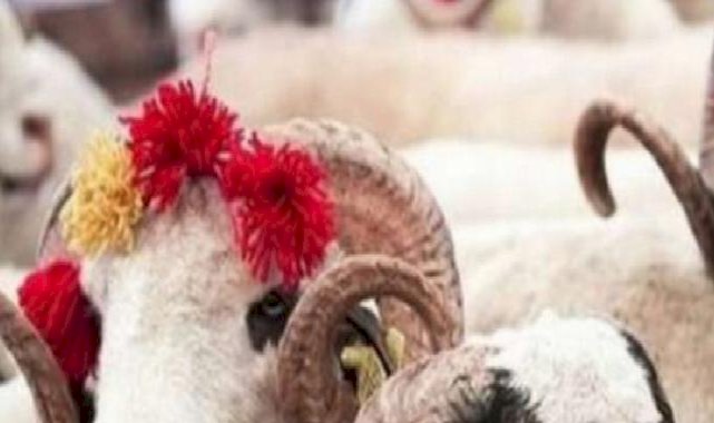 Uzmanı uyardı! Kurban etlerini böyle saklayın