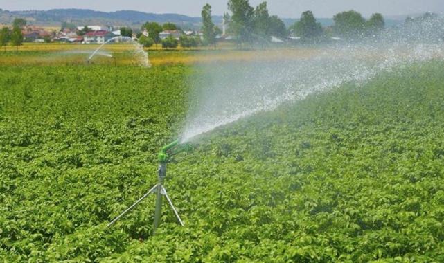 Tehlike giderek büyüyor: Türkiye'nin kuraklık haritası çıkarıldı