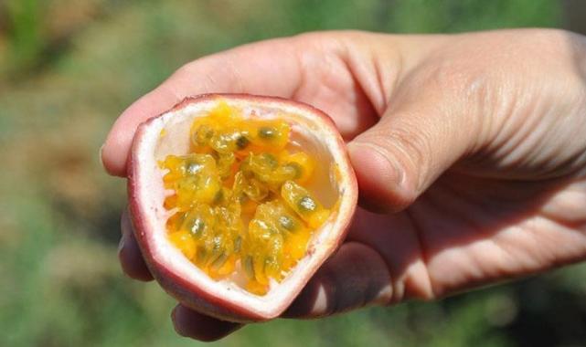 Tehlike giderek büyüyor: Türkiye'nin kuraklık haritası çıkarıldı