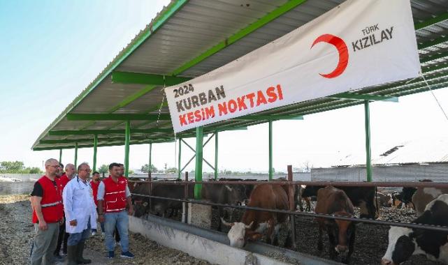 Türk Kızılay'ın kurban kesimleri 19 ülkede sürüyor