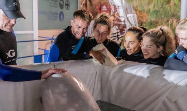 Ukrayna'da mahsur kalan iki balina özel operasyonla kurtarıldı