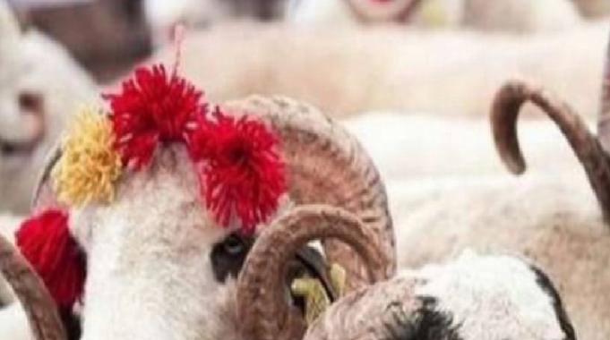 Uzmanı uyardı! Kurban etlerini böyle saklayın