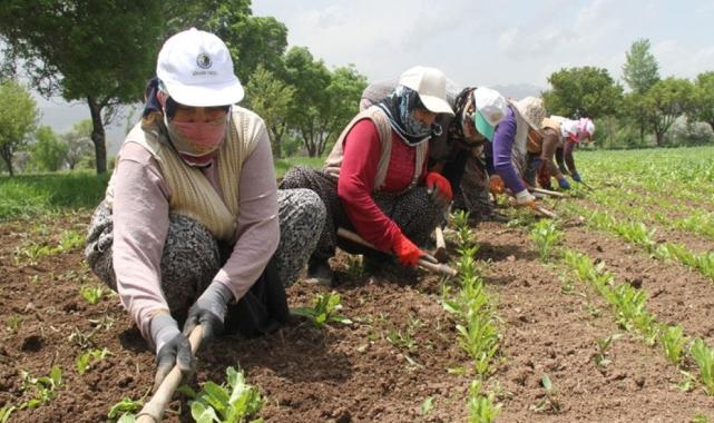 Uzmanlardan aşırı sıcaklara karşı 15 öneri