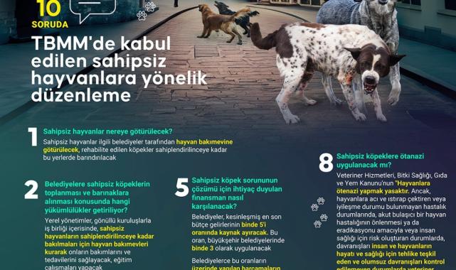 10 soruda başıboş hayvanlara yönelik düzenleme