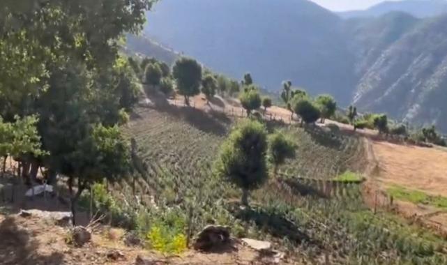 16 ilde "Narkoçelik" operasyonu: 40 zehir taciri tutuklandı