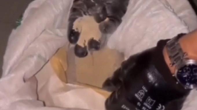 16 ilde &quot;Narkoçelik&quot; operasyonu: 40 zehir taciri tutuklandı