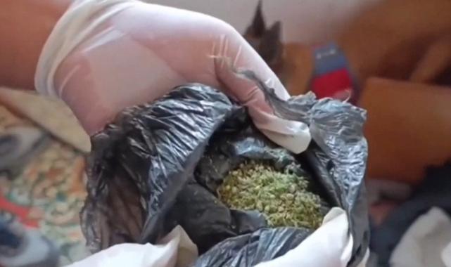 17 ilde "Narkoçelik" operasyonu: 103 zehir taciri tutuklandı