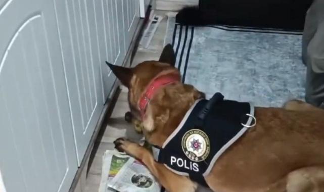 3 ilde KUYU-10 operasyonu: Organize suç örgütü çökertildi