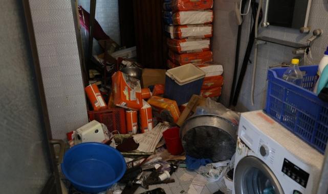 Adana'da cezaevindeki albino kardeşlerin evine hırsız dadandı