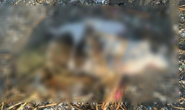 Adana'da katili cesedin telefonu ele verdi