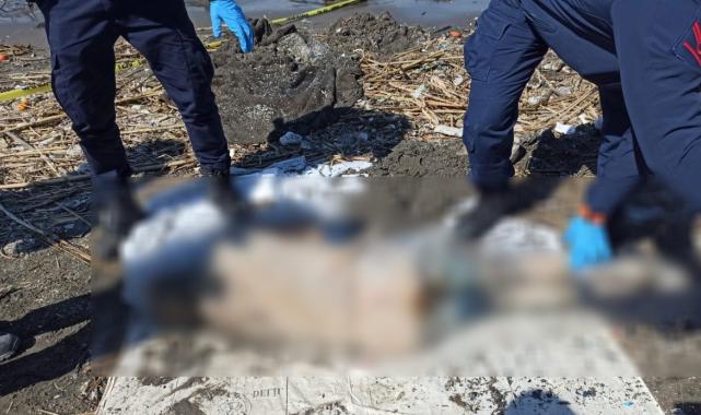 Adana'da katili cesedin telefonu ele verdi