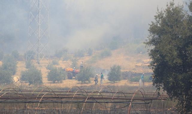 Antalya'daki yangın 5 saatlik çalışma sonucu kontrol altına alındı