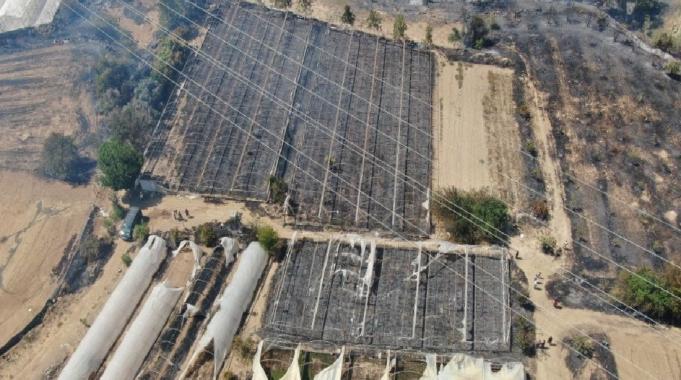 Antalya'daki yangın 5 saatlik çalışma sonucu kontrol altına alındı