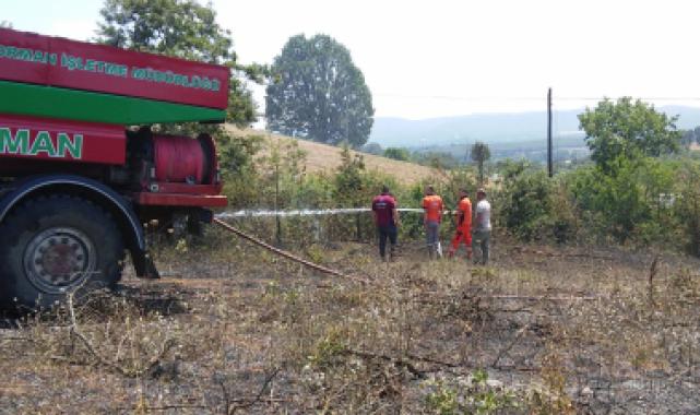 Bilecik’te arazi yangını! 1 kişi dumandan etkilendi