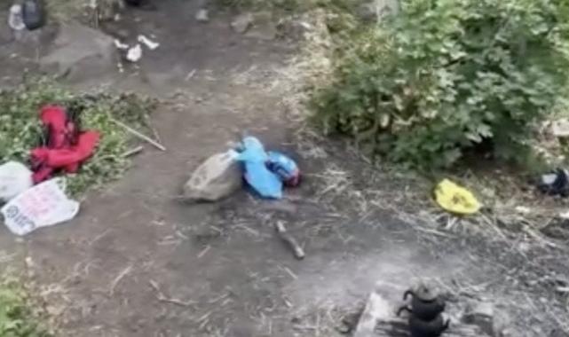 Bitlis'te piknik yapmaya giden vatandaşları ayı kovaladı