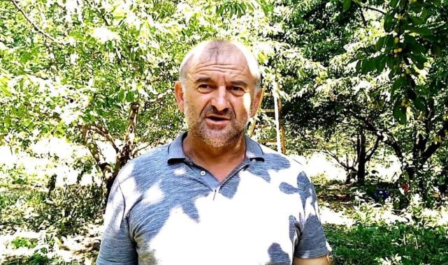 Bursa'da 1.350 rakımda kiraz hasadı kazandırıyor: Kilosu 80 lira