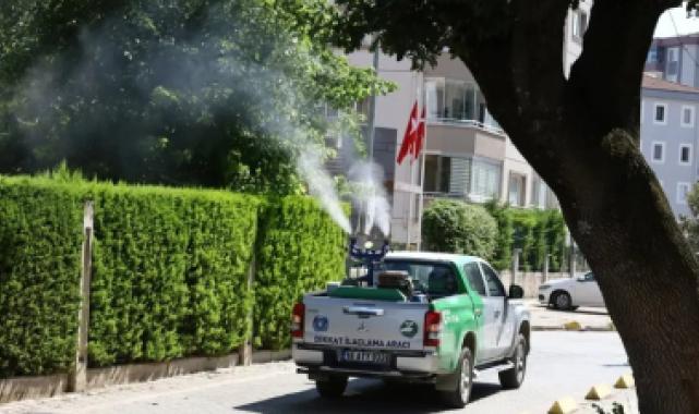Bursa’da yetersiz ilaçlama, sinek istilasına kapı aralıyor
