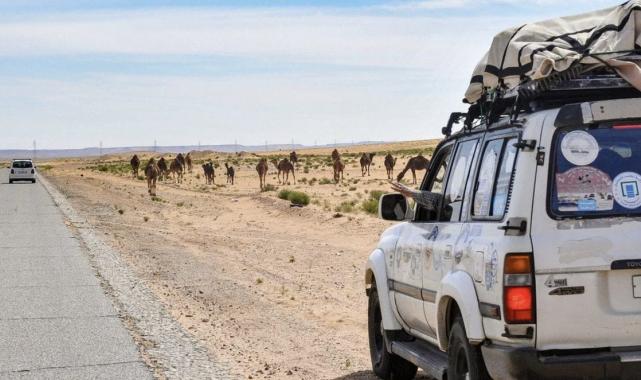 Cezayir'de çölde kaybolan 14 kişi ölü bulundu