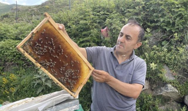 Dünyaca ünlü Anzer Balı'nın kilogram satış fiyatı 4 bin TL oldu