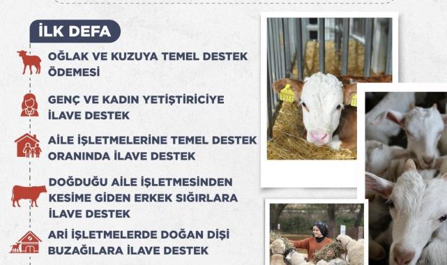 Hayvancılıkta yeni destekleme modeli yürürlüğe girdi