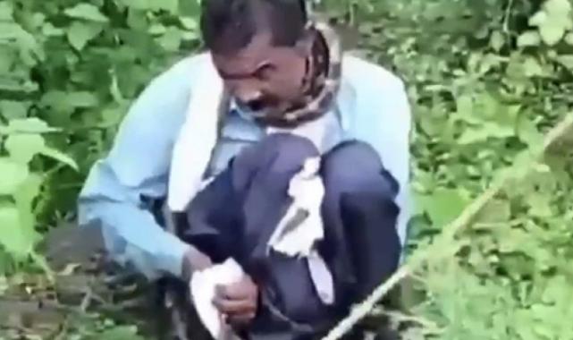 Hindistan'da tuvaletini yapan adama 5 metrelik yılan saldırdı