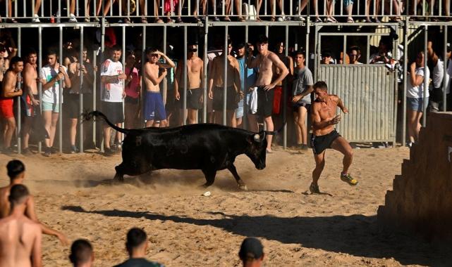 İspanya'da boğaların denize atlatıldığı festivale ilk kez sınırlama getirildi