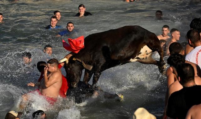 İspanya'da boğaların denize atlatıldığı festivale ilk kez sınırlama getirildi