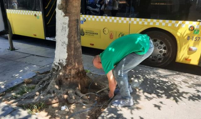 İstanbul'da aşınmış elektrik kabloları ölüm korkusu yaşattı