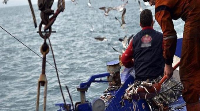 İstanbul&#039;da balıkçılar yeni sezondan umutlu: Yasak 1 Eylül&#039;de kalkacak