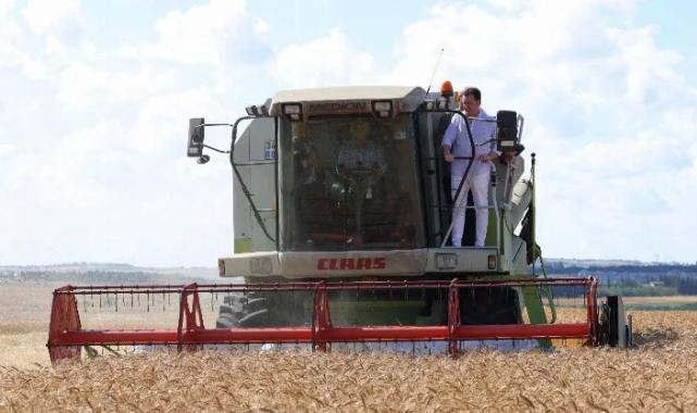 İstanbul'da deneme tohumlarında ilk hasat