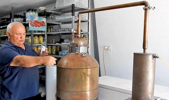 İzmir Çeşme'de üretilen enginarlar 12 ay tüketilebiliyor