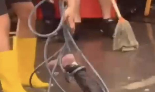 İzmir'de elektriğe kapılan 2 kişinin sudan çıkartılma anları