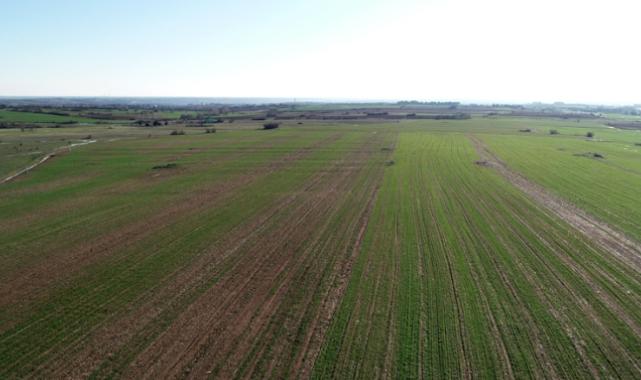 İznik’te arsa ve konut fiyatları çevre illerde yaşayanları cezbediyor