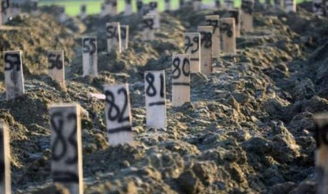 Kahramanmaraş'ta 29 kişinin öldüğü binanın şantiye şefi kendini savundu