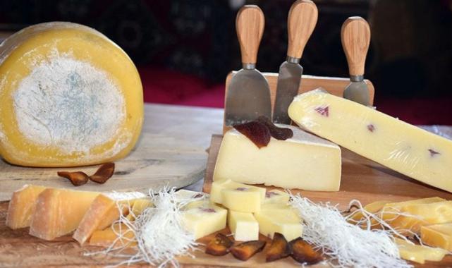 Kaşar peyniri için yeni uygulama devreye girecek