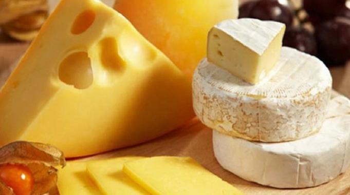 Kaşar peyniri için yeni uygulama devreye girecek