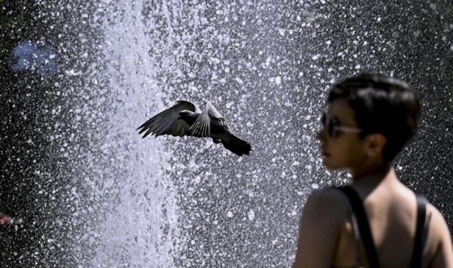 Kavurucu sıcaklar en çok beyne zarar veriyor...